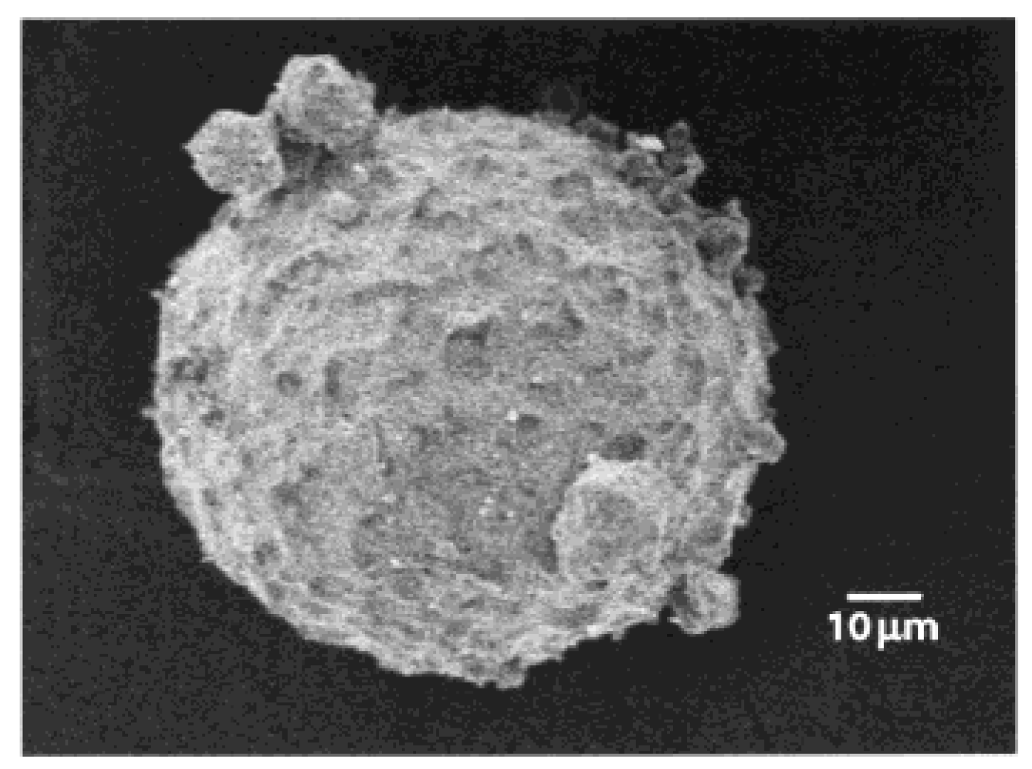 Materials 02 00577 g010