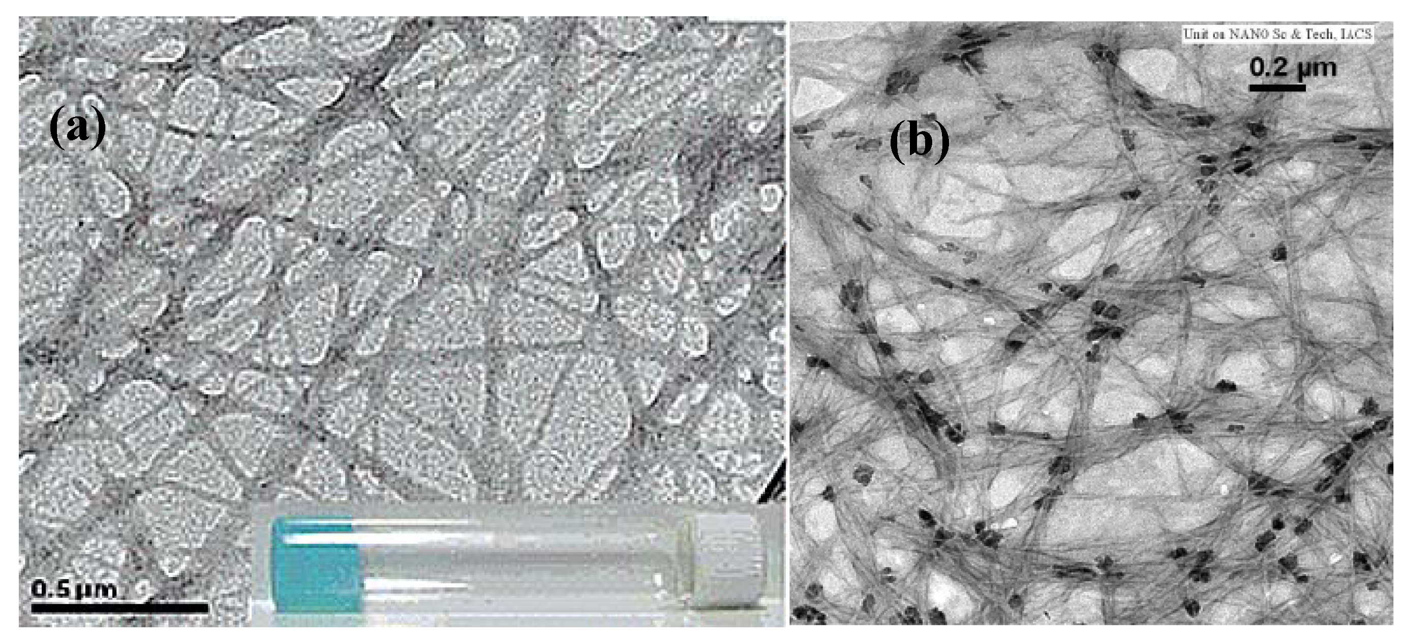 Materials 02 00577 g012