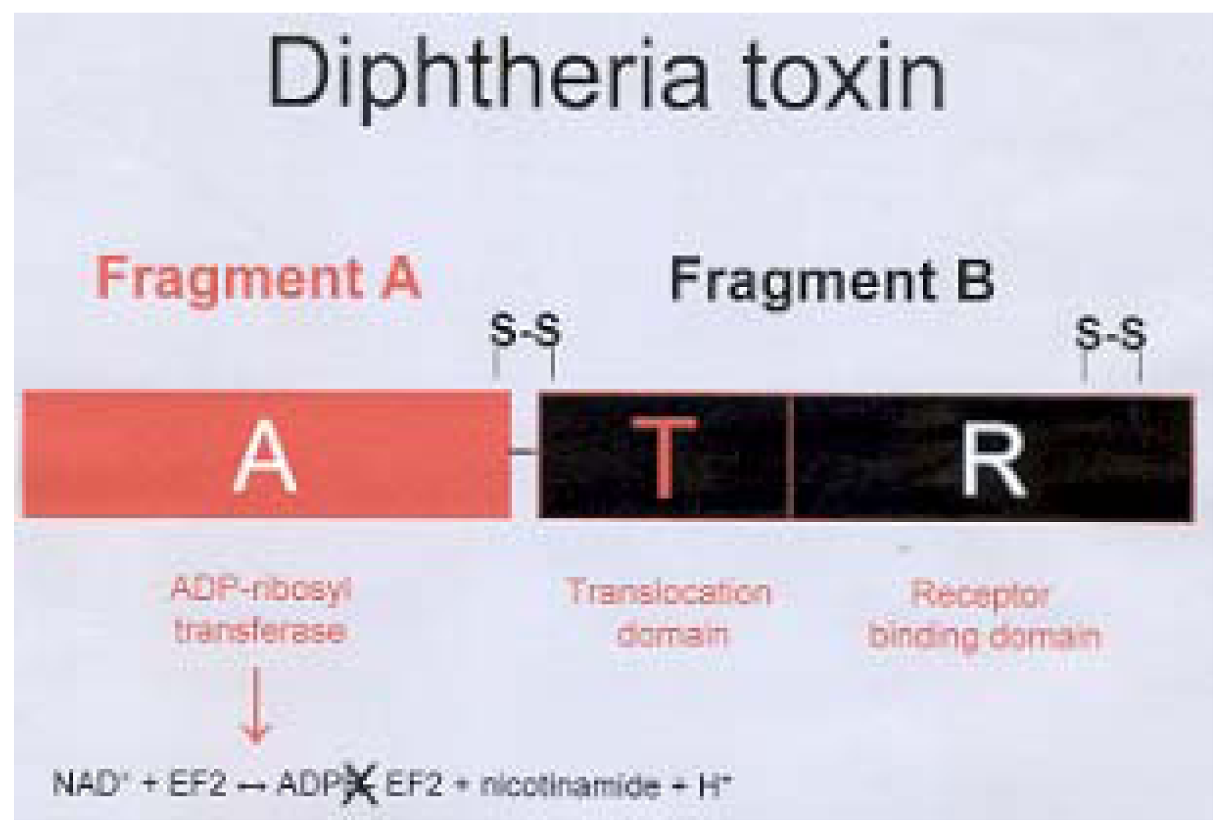 Materials 02 00765 g007