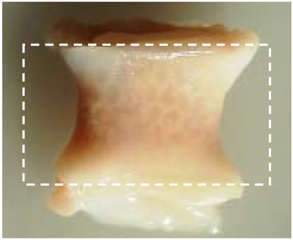 Materials 02 00833 g002 1024