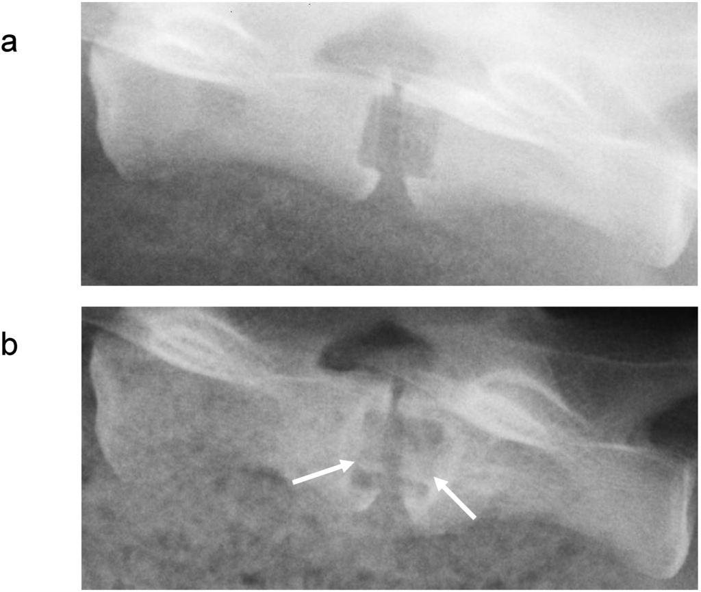 Materials 02 00833 g004 1024