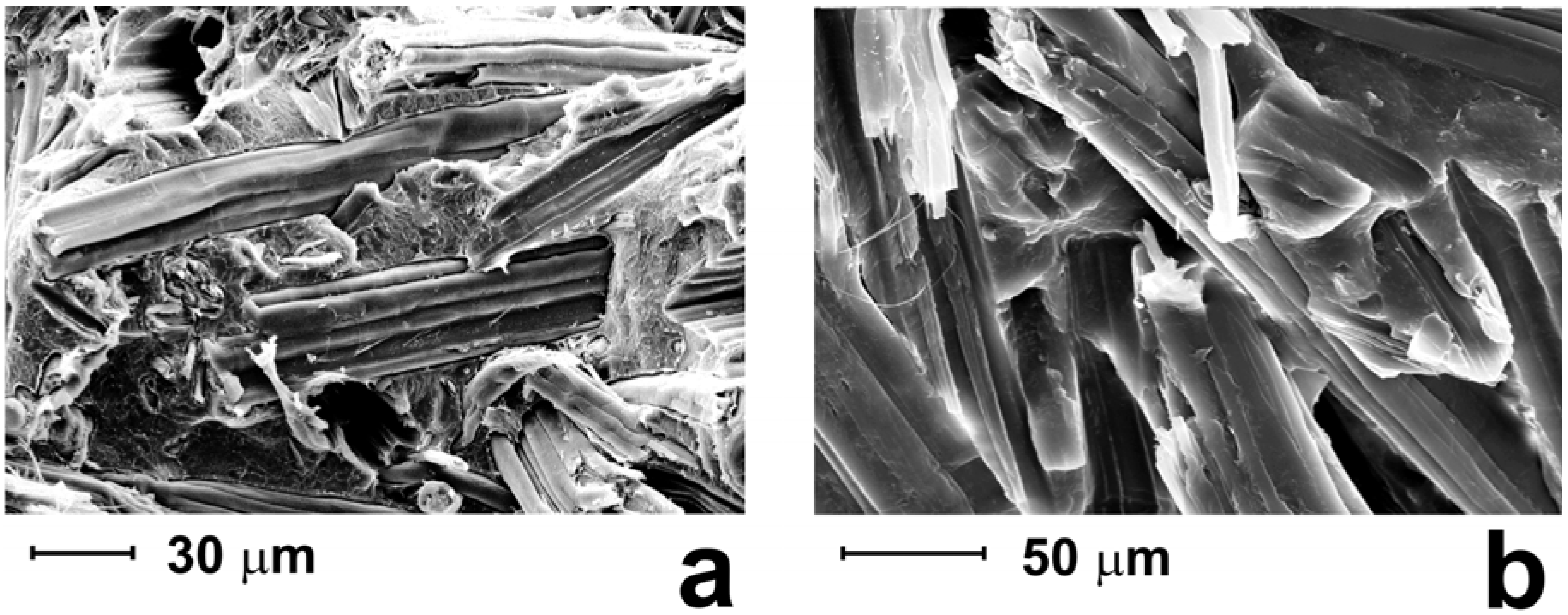 Materials 02 00911 g001