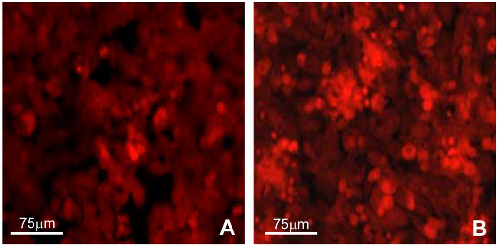 Materials 02 00945 g001 1024