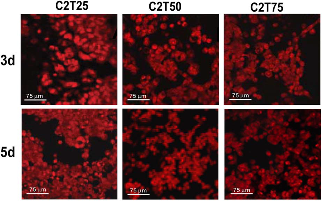 Materials 02 00945 g002 1024