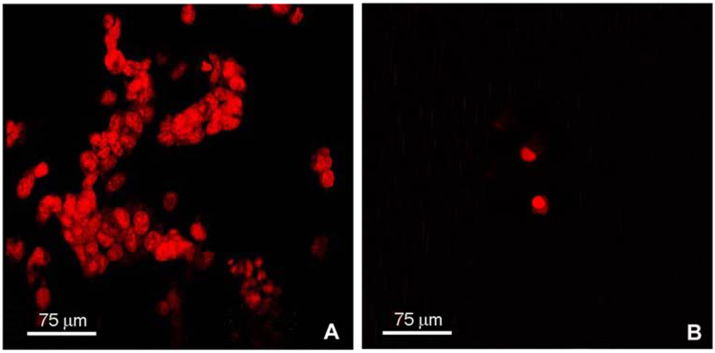 Materials 02 00945 g003 1024