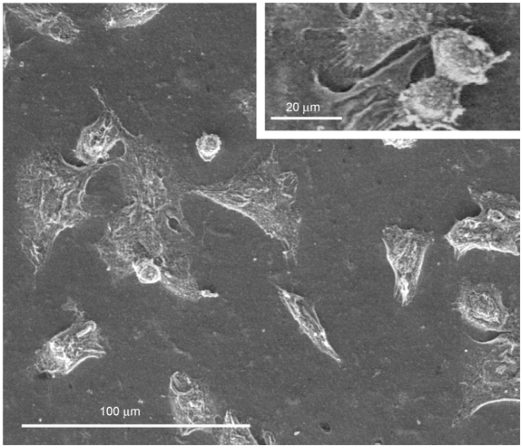 Materials 02 00945 g004 1024