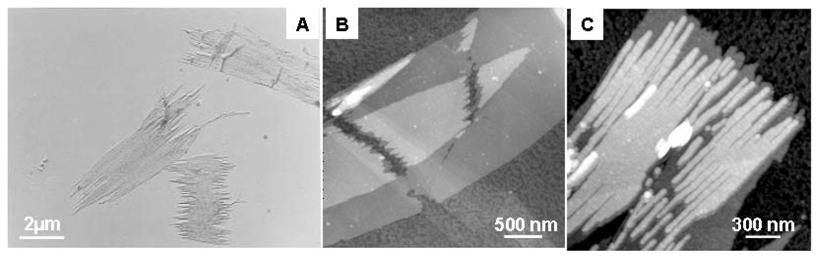 Materials 02 01104 g004