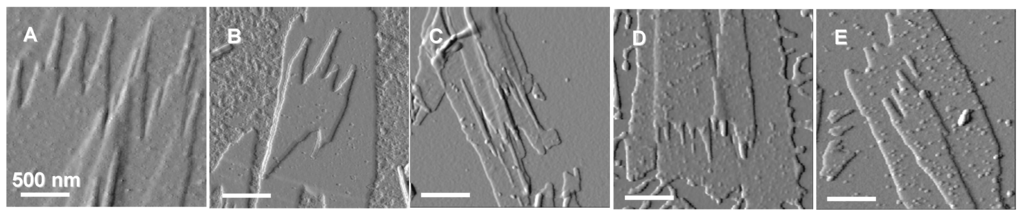 Materials 02 01104 g007 1024