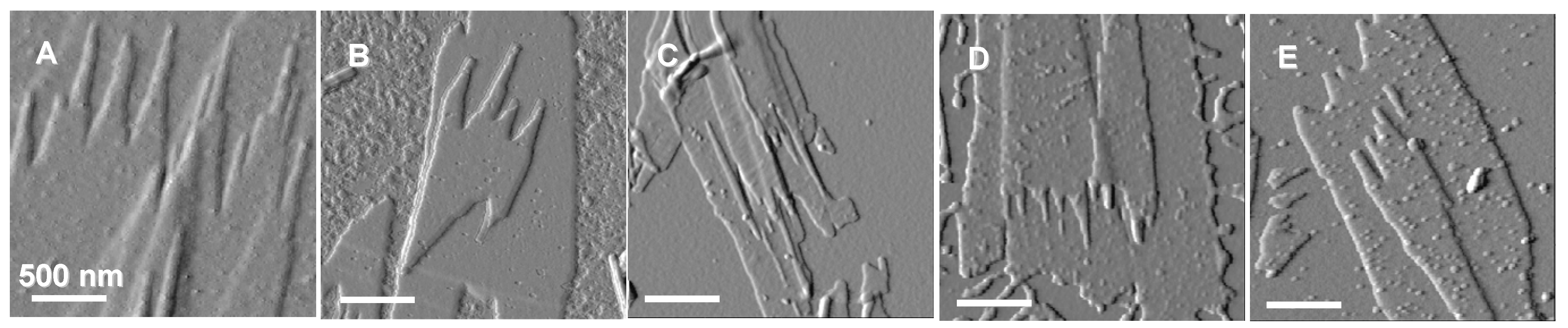 Materials 02 01104 g007