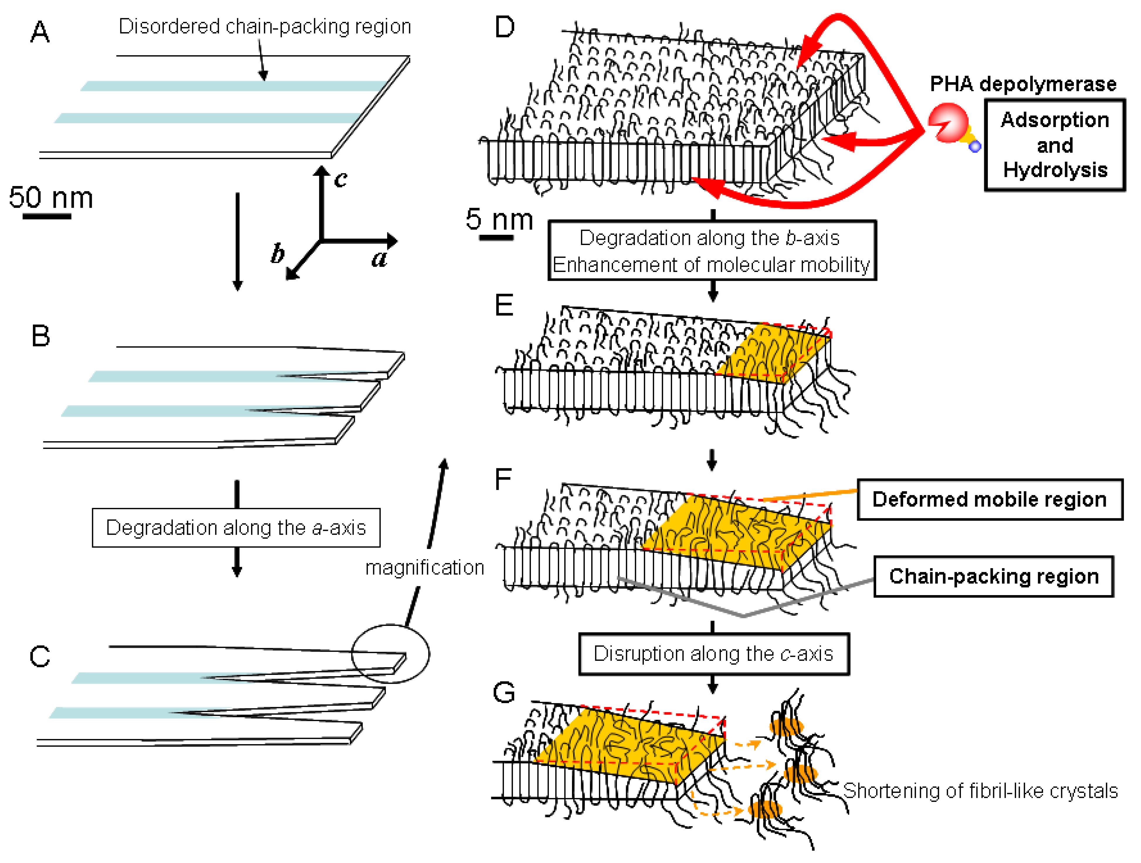 Materials 02 01104 g008