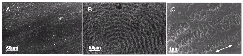 Materials 02 01104 g010 1024