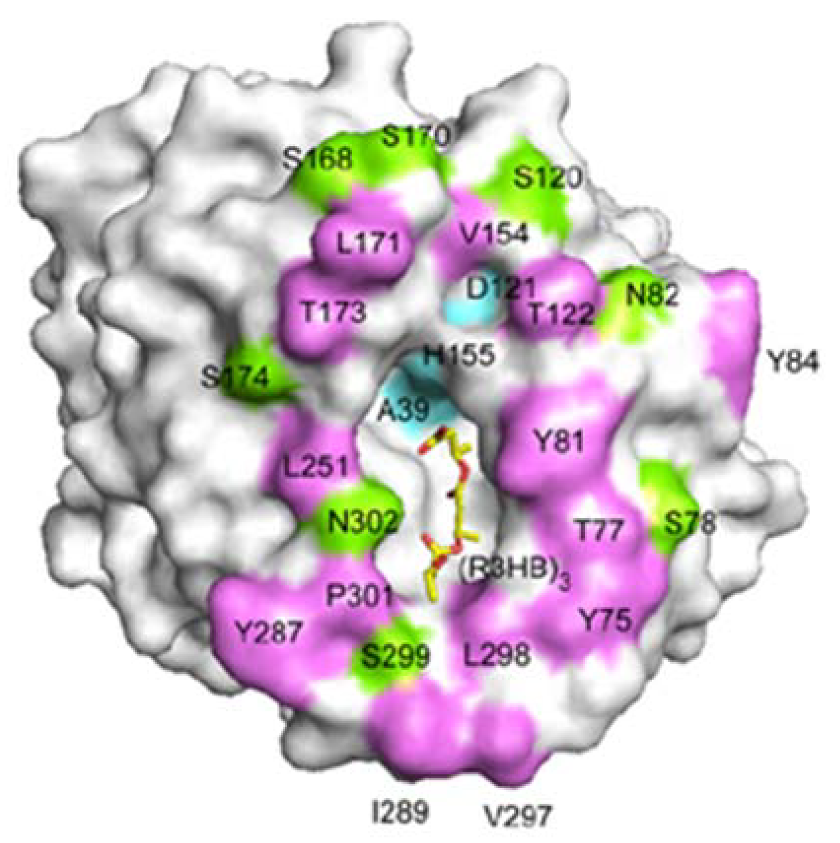 Materials 02 01104 g015