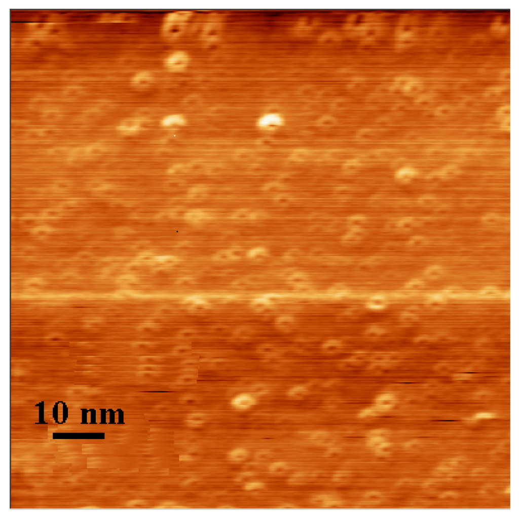 Materials 02 01193 g004 1024