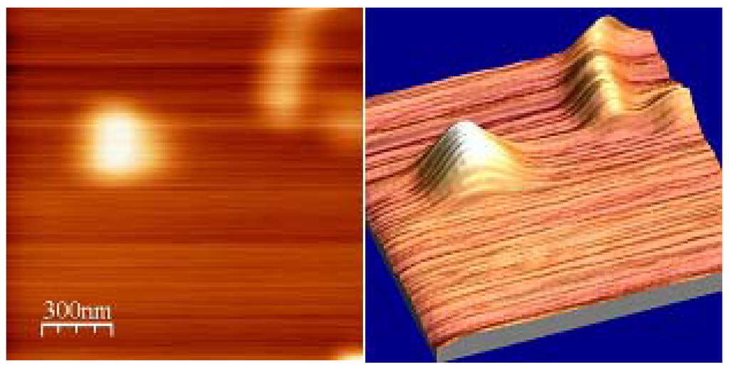 Materials 02 01193 g008 1024