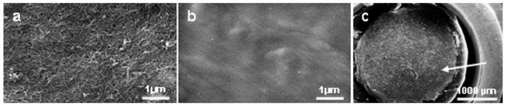 Materials 02 01402 g001 1024