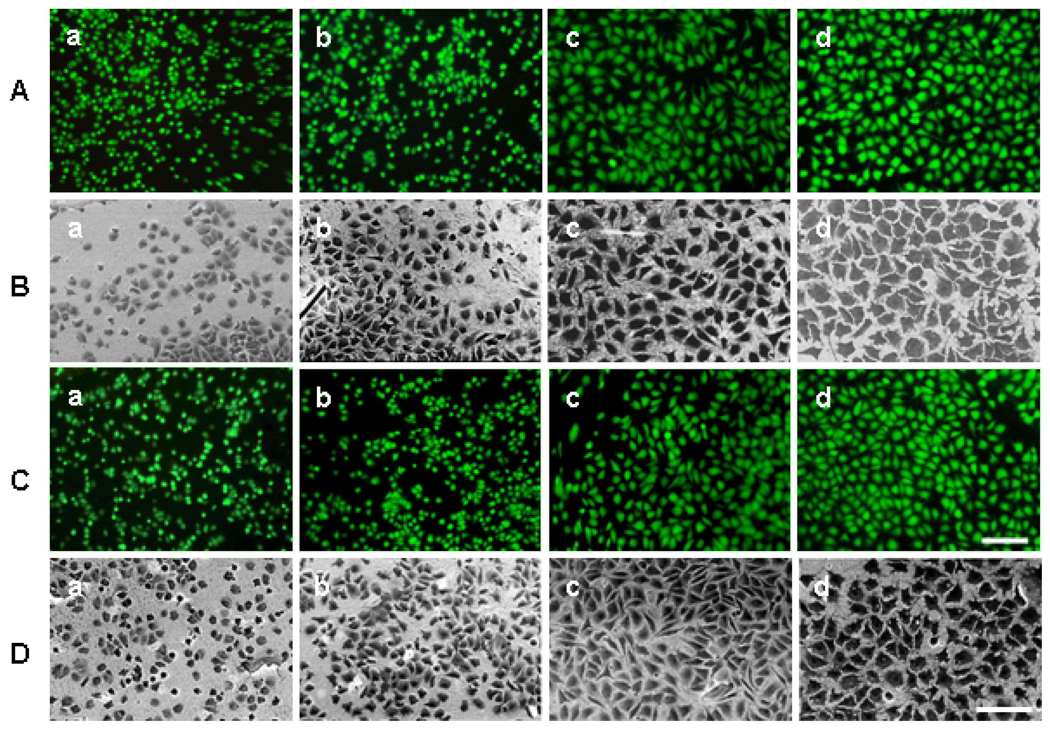 Materials 02 01402 g002