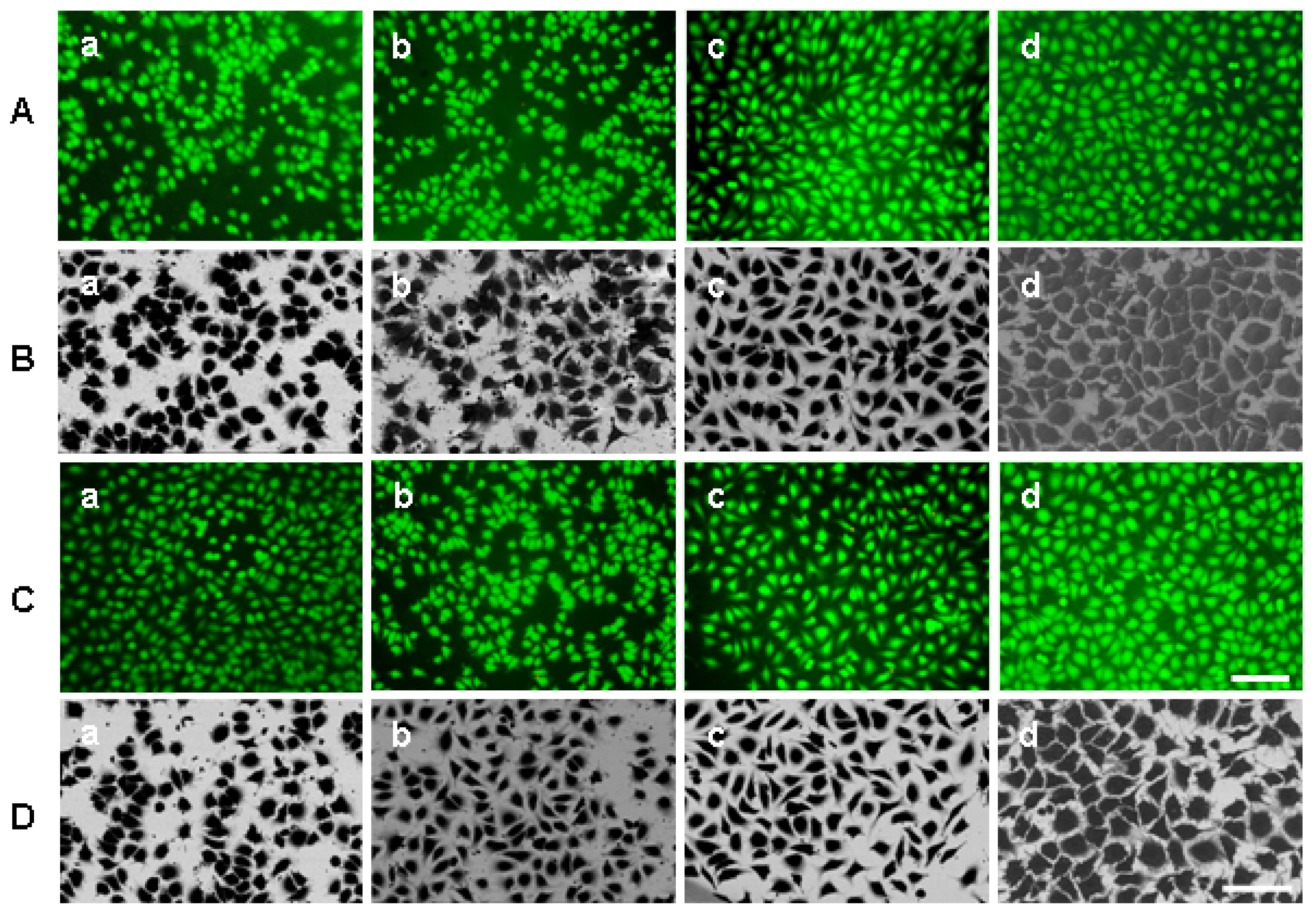 Materials 02 01402 g003