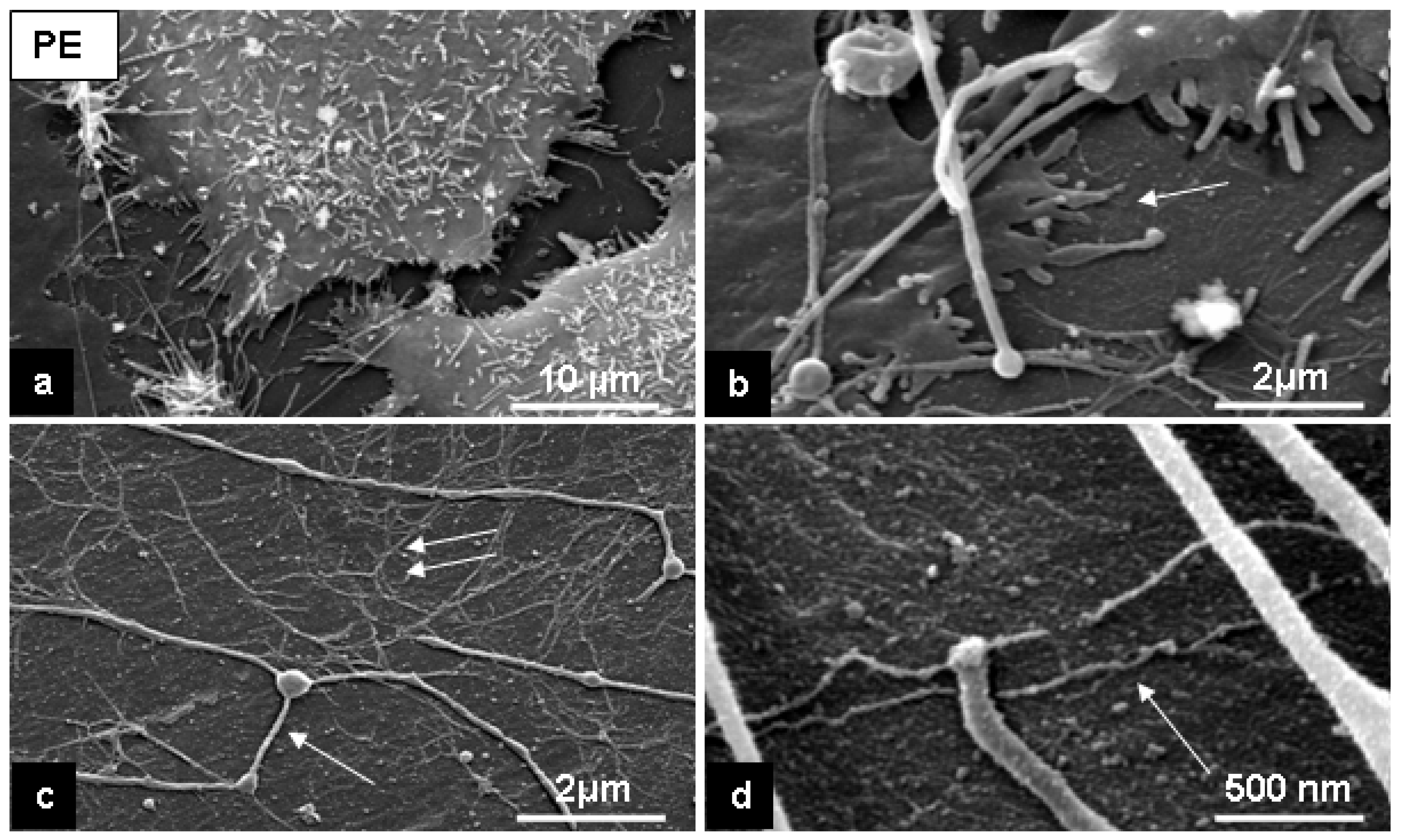 Materials 02 01402 g005