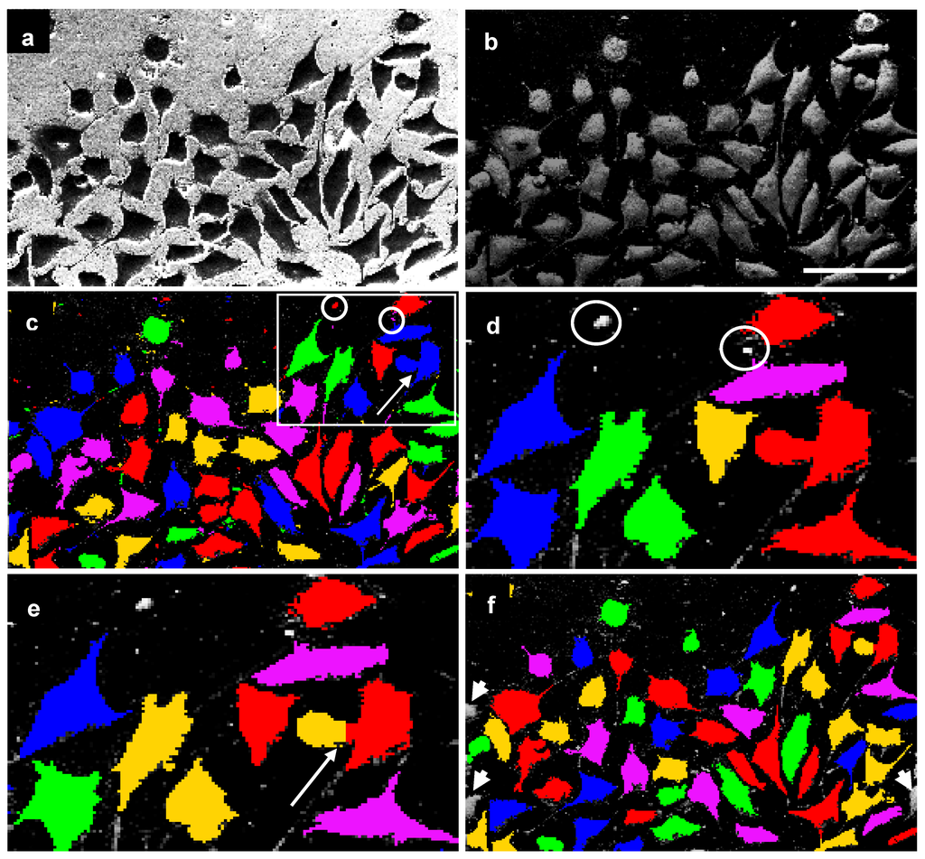 Materials 02 01402 g006 1024