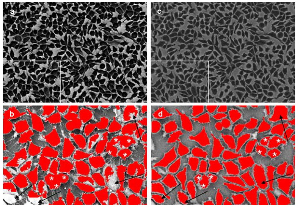 Materials 02 01402 g007 1024