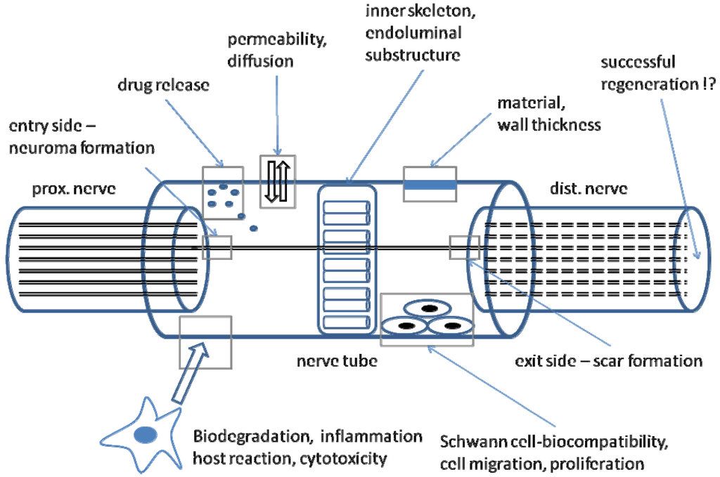 Materials 02 01480 g002 1024