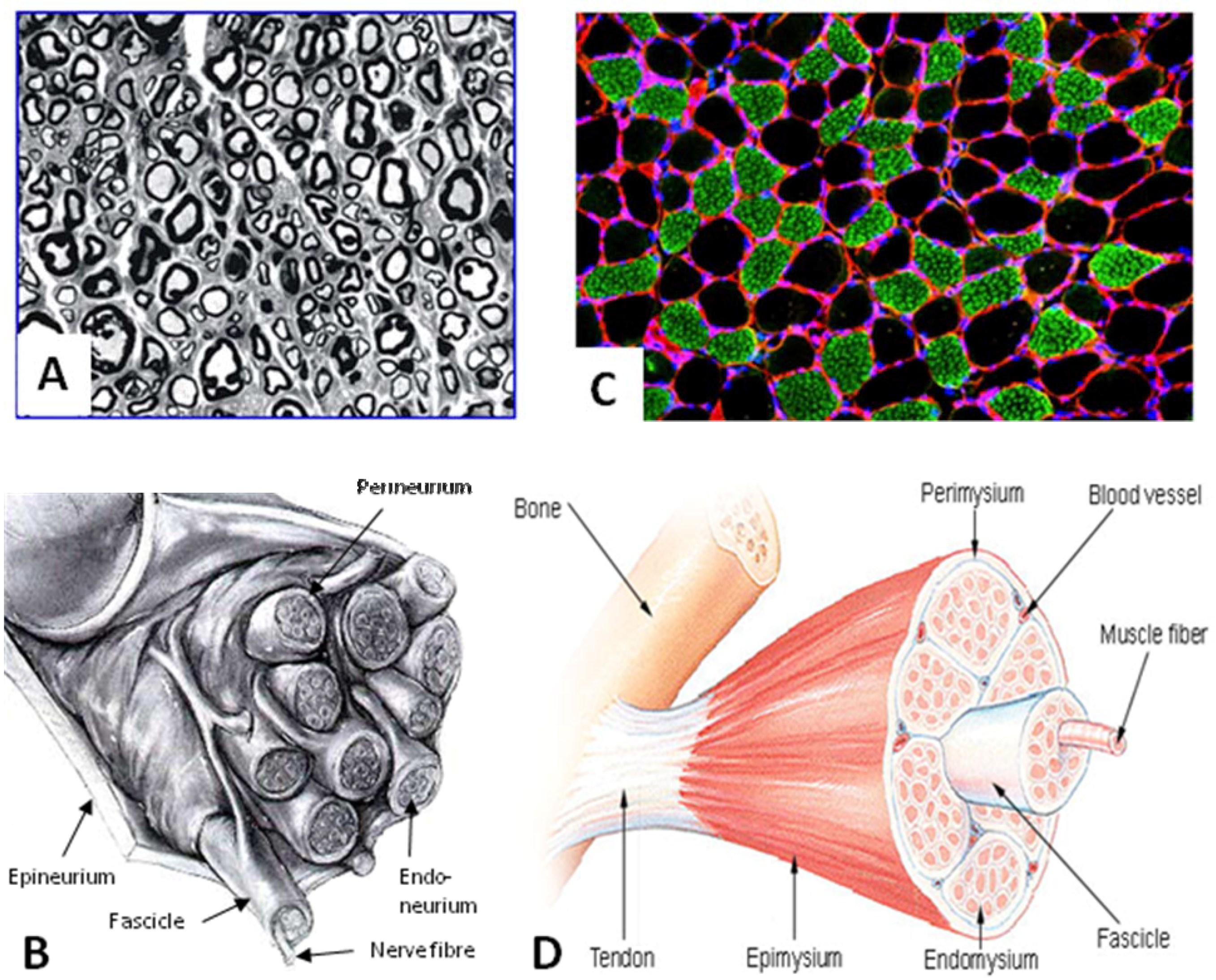 Materials 02 01480 g003