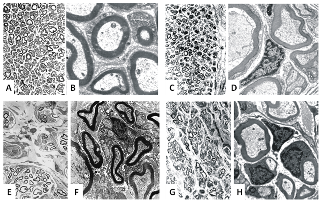 Materials 02 01480 g004 1024
