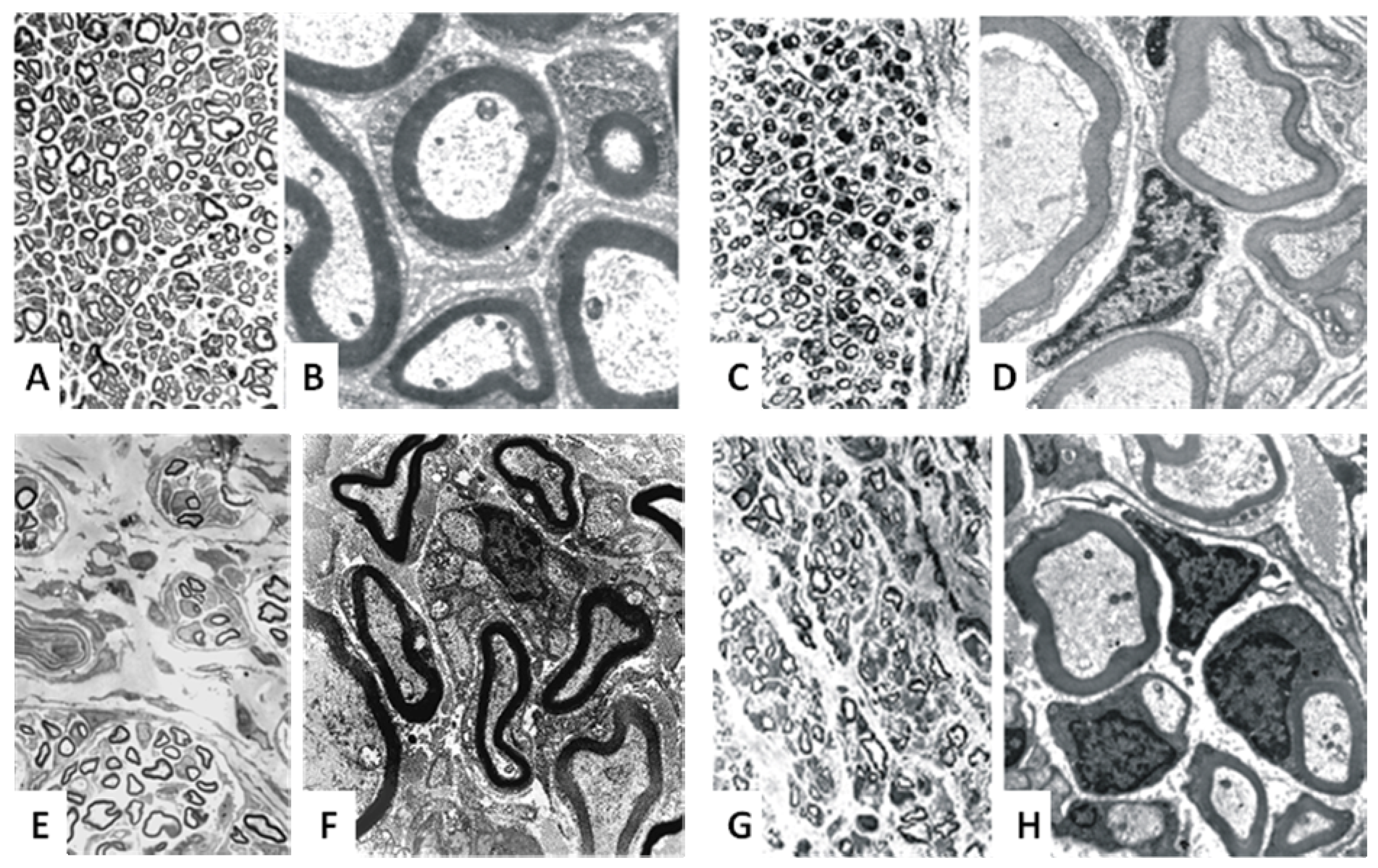 Materials 02 01480 g004
