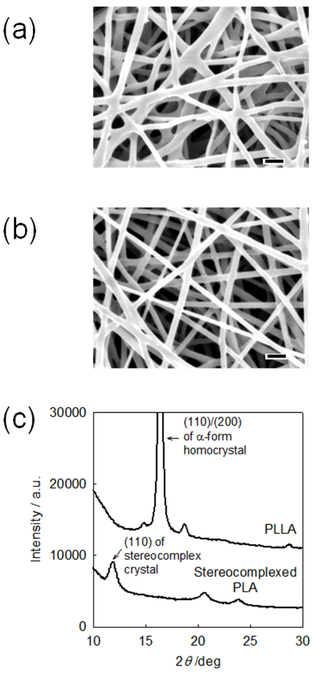 Materials 02 01520 g005 1024