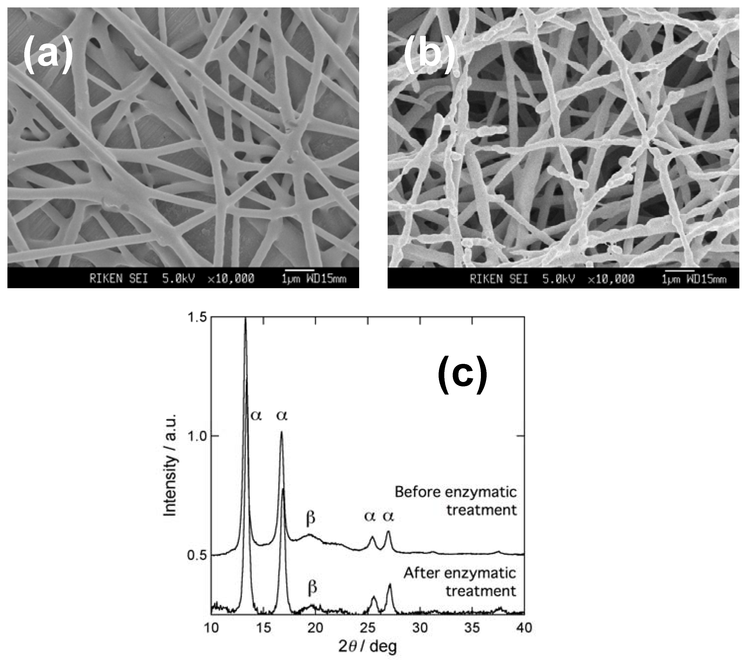 Materials 02 01520 g006