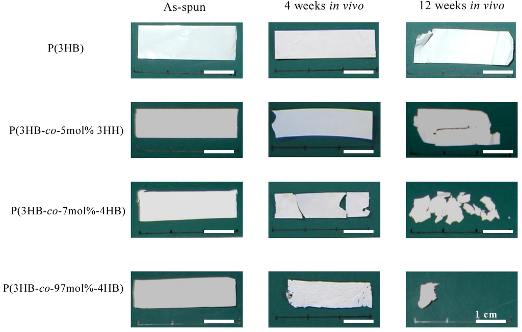 Materials 02 01520 g007 1024