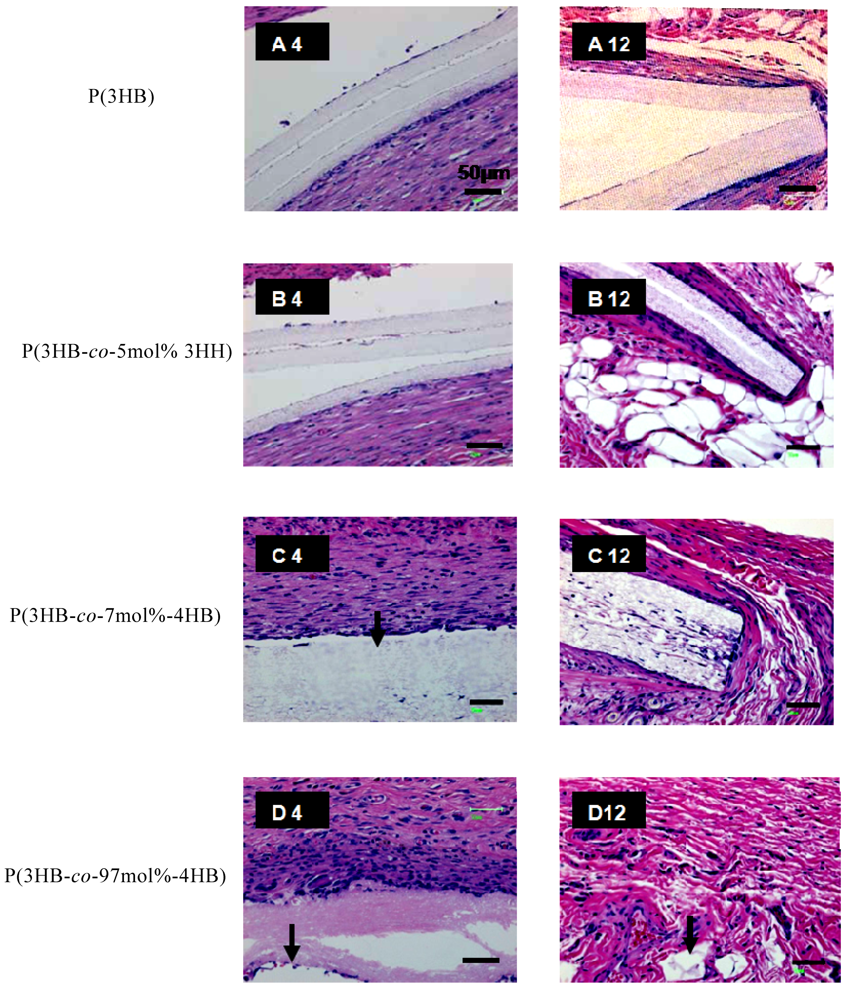 Materials 02 01520 g008