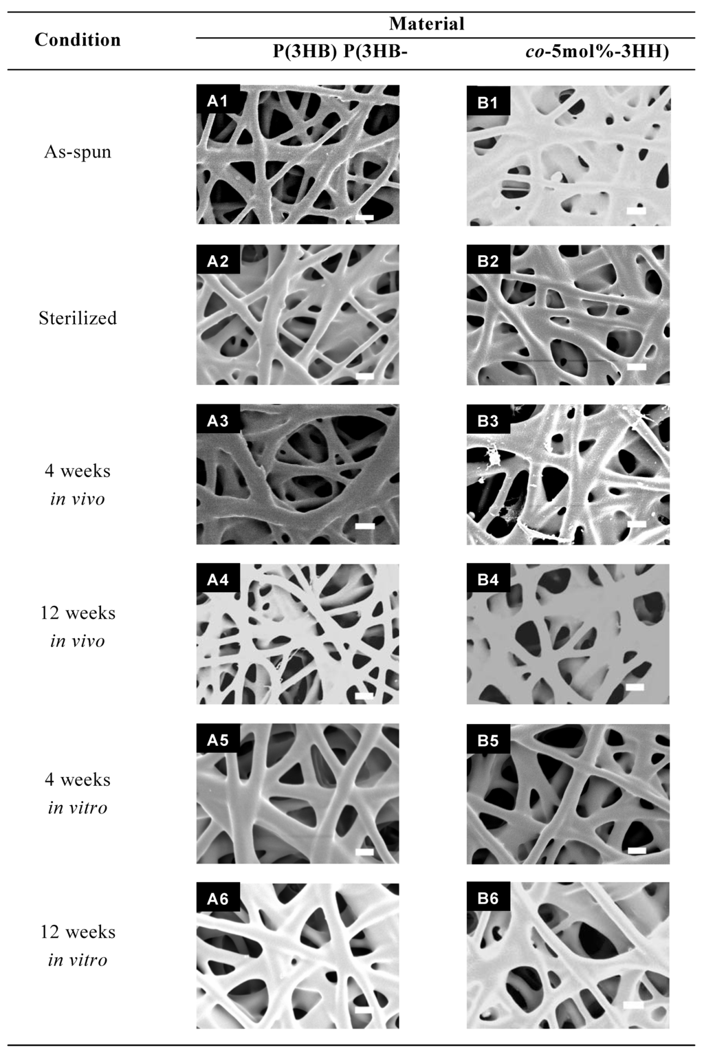 Materials 02 01520 g009a 1024