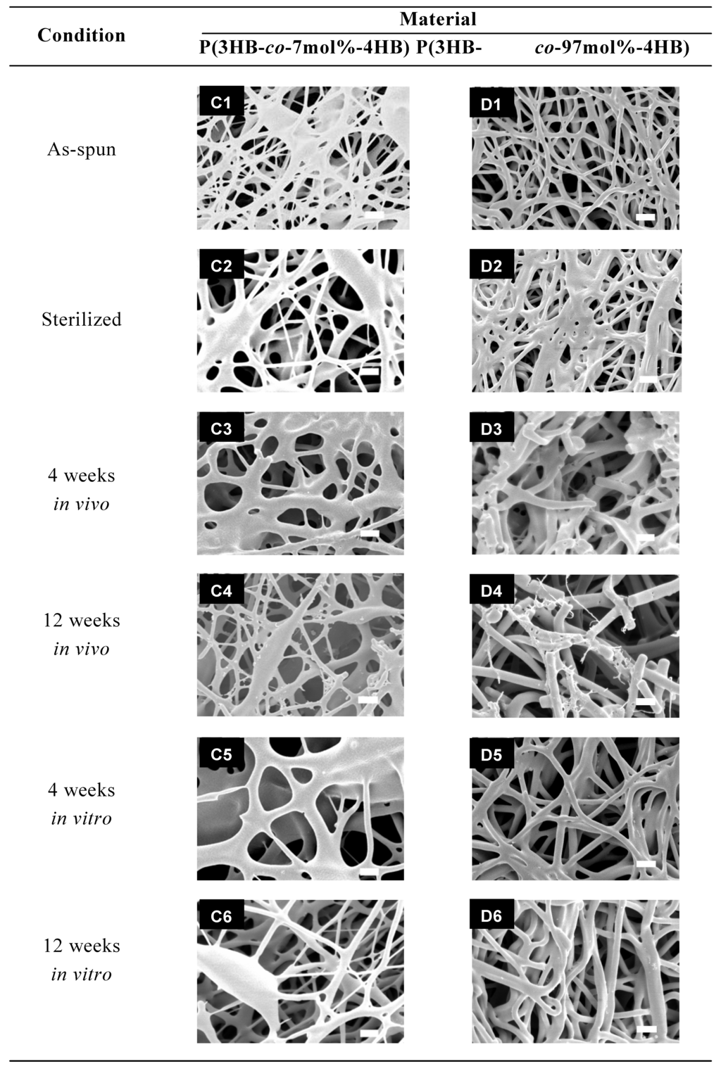 Materials 02 01520 g009b 1024