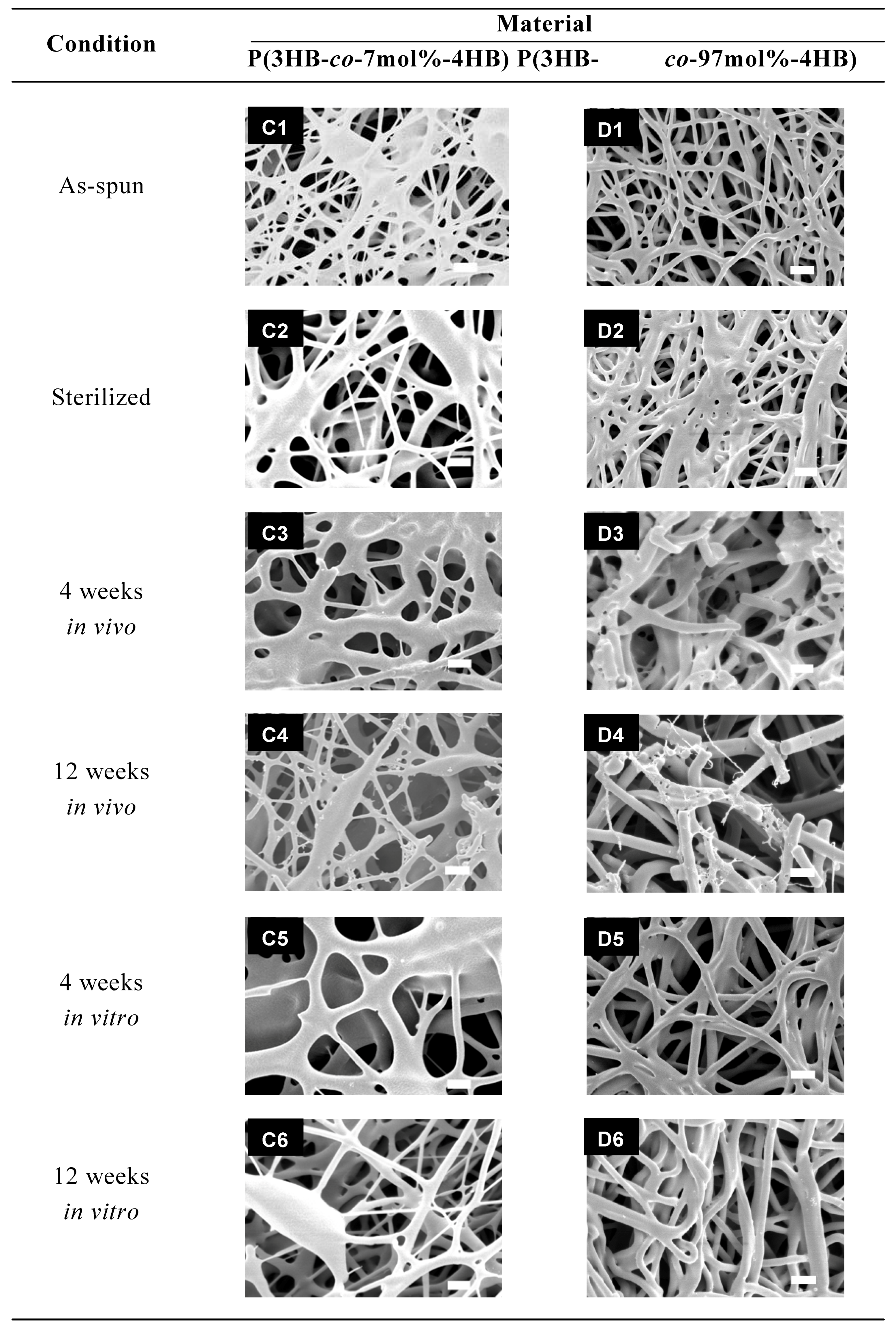 Materials 02 01520 g009b
