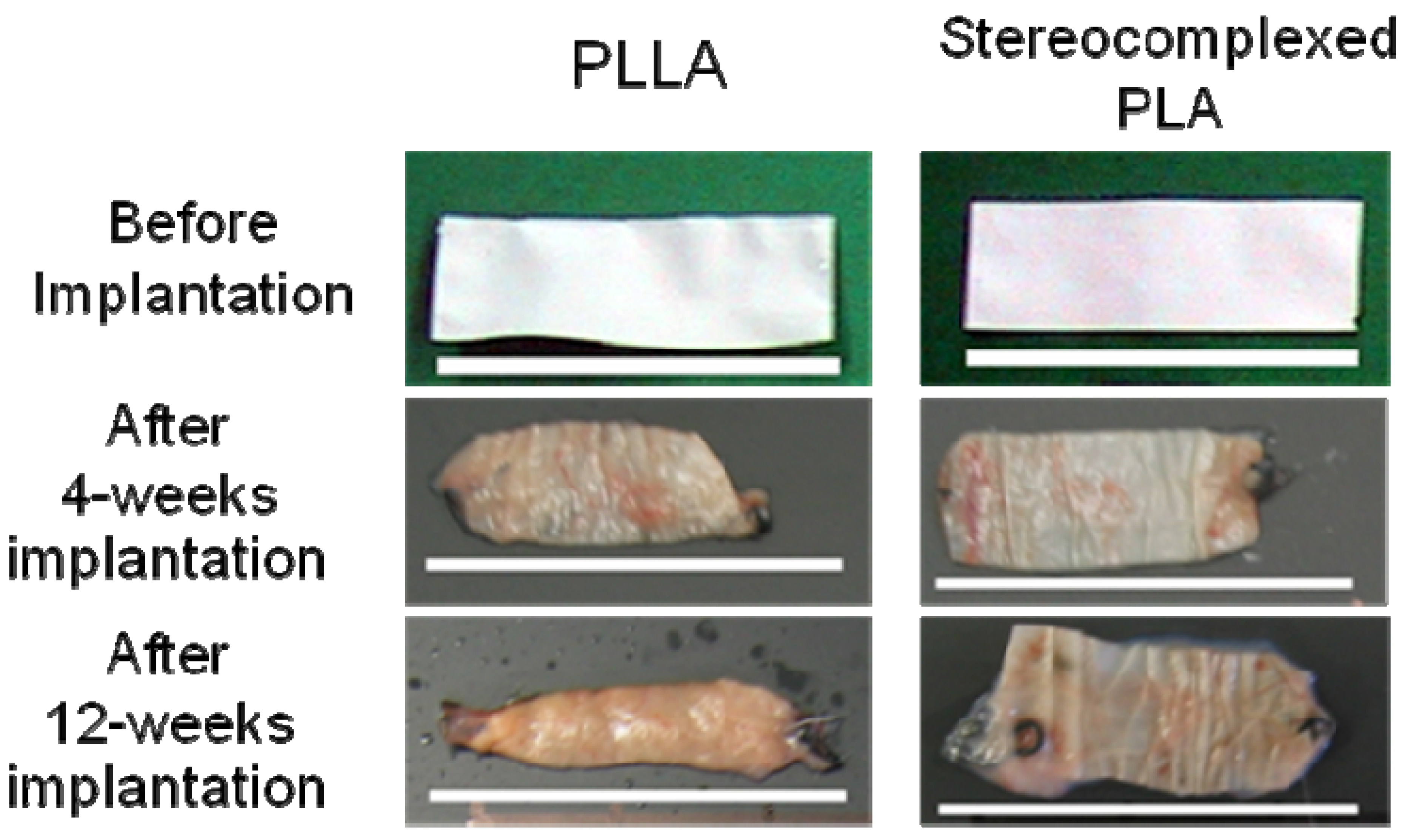 Materials 02 01520 g010