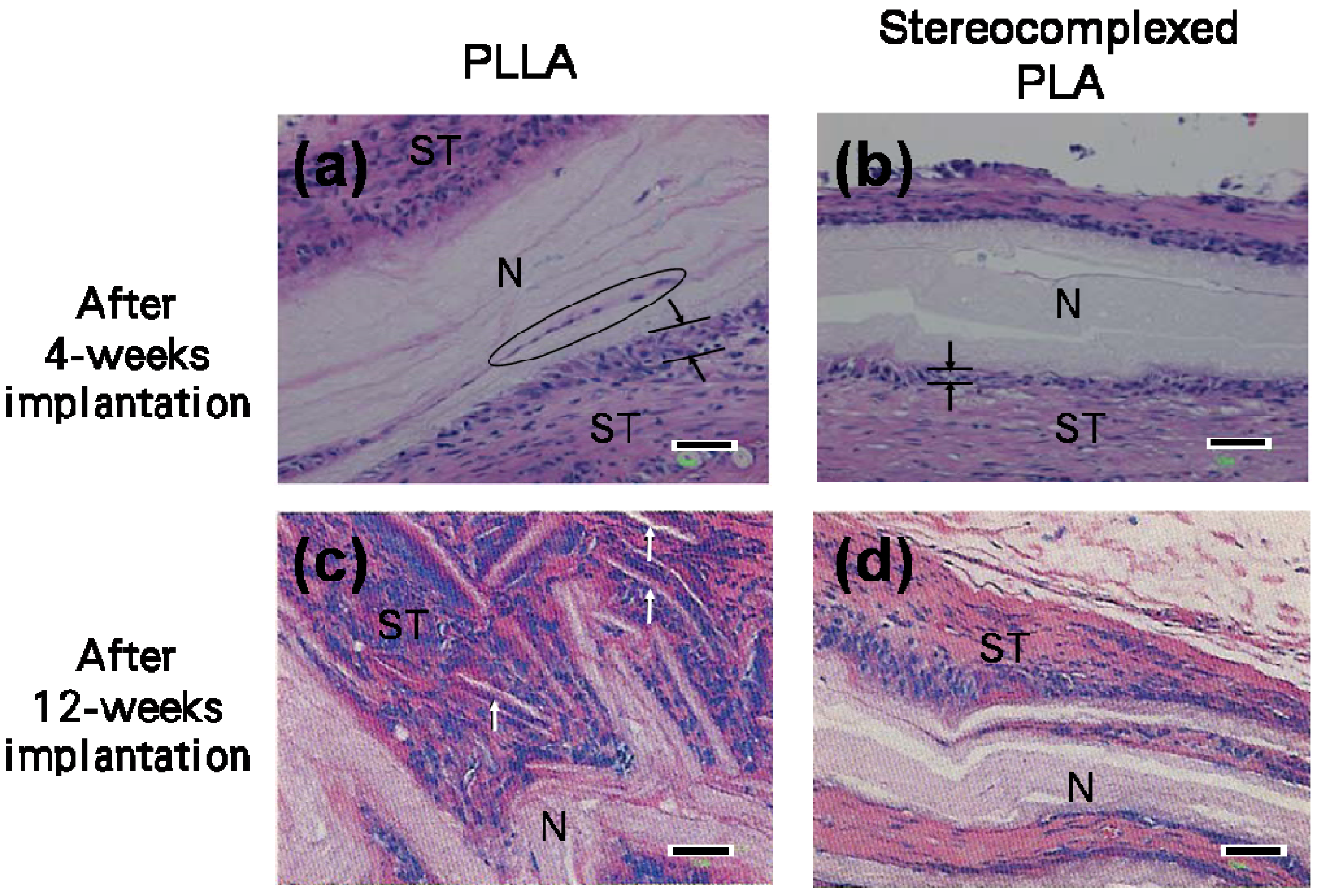Materials 02 01520 g011