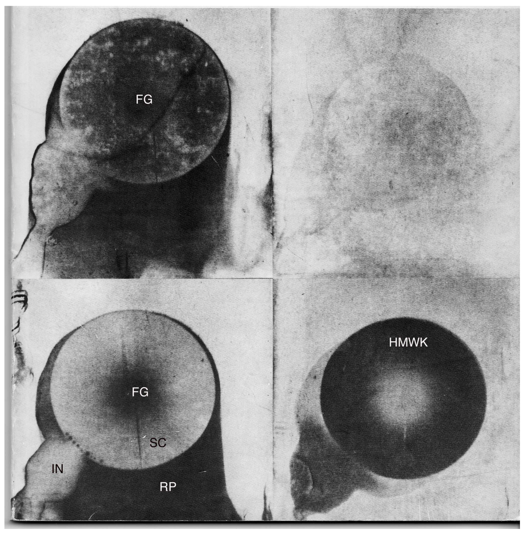 Materials 02 01547 g002 1024