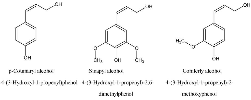 Materials 02 01558 g011 1024