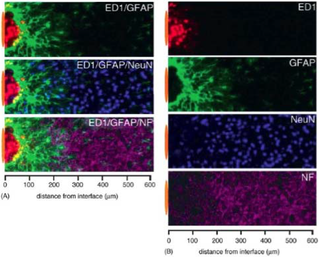 Materials 02 01762 g003 1024