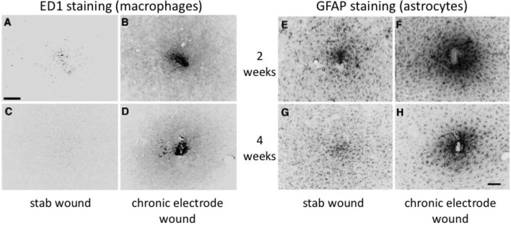Materials 02 01762 g004 1024