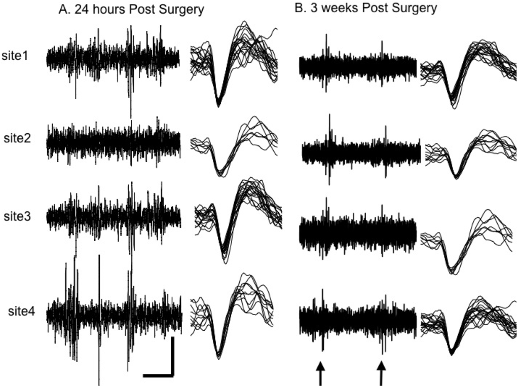Materials 02 01762 g006 1024