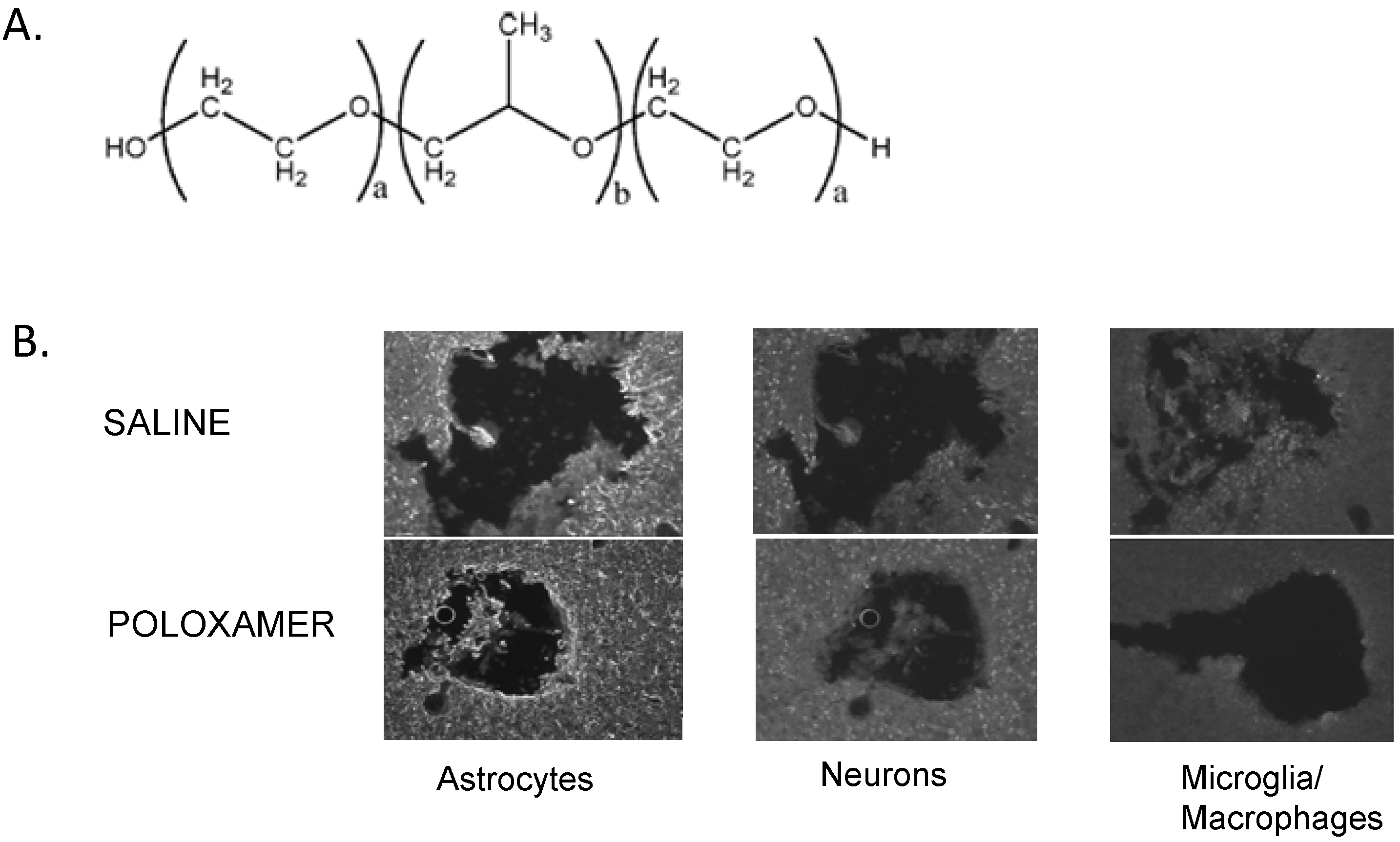 Materials 02 01762 g009