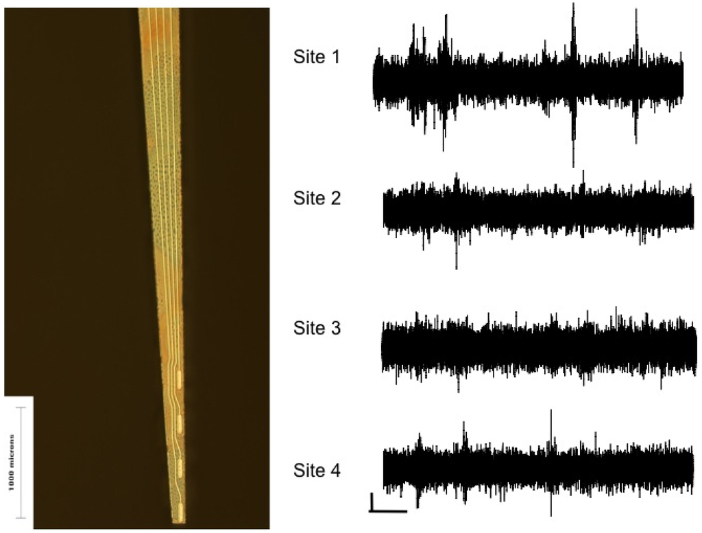 Materials 02 01762 g011 1024