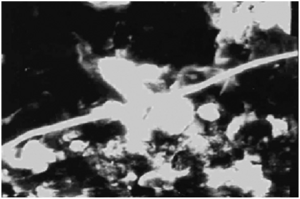 Materials 02 02154 g009 1024