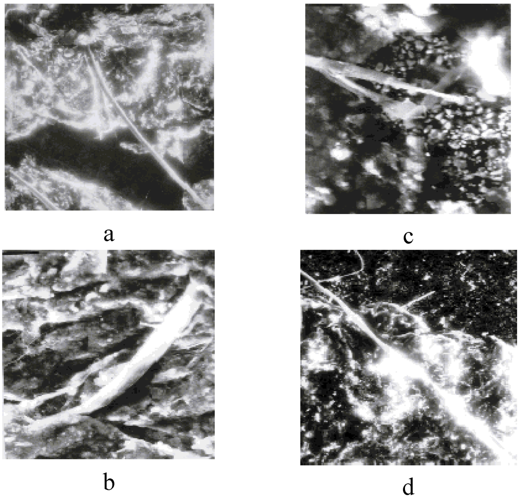 Materials 02 02154 g013 1024