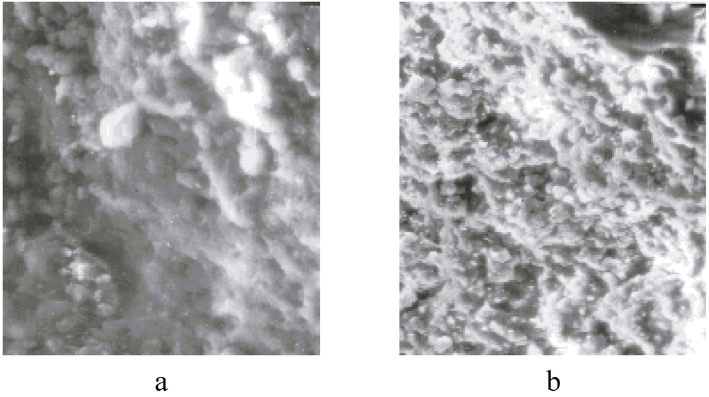 Materials 02 02154 g015 1024