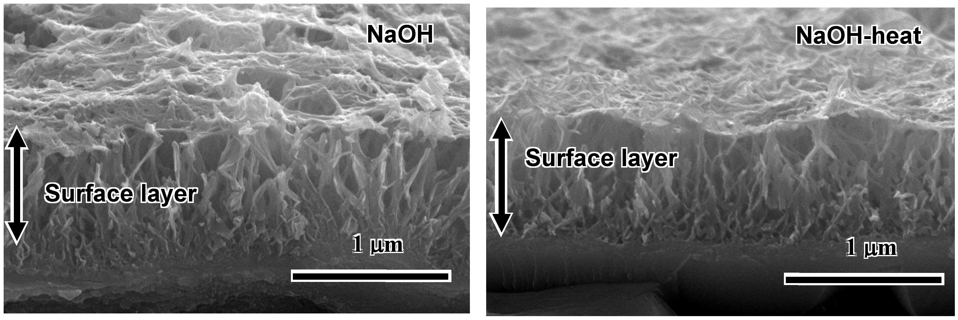 Materials 03 00048 g002