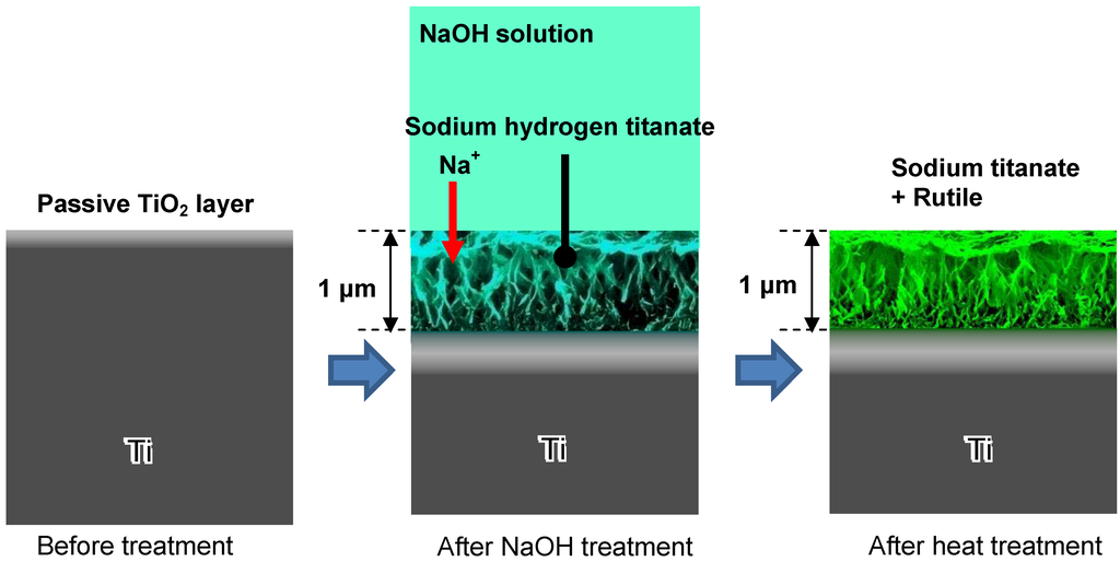 Materials 03 00048 g004 1024