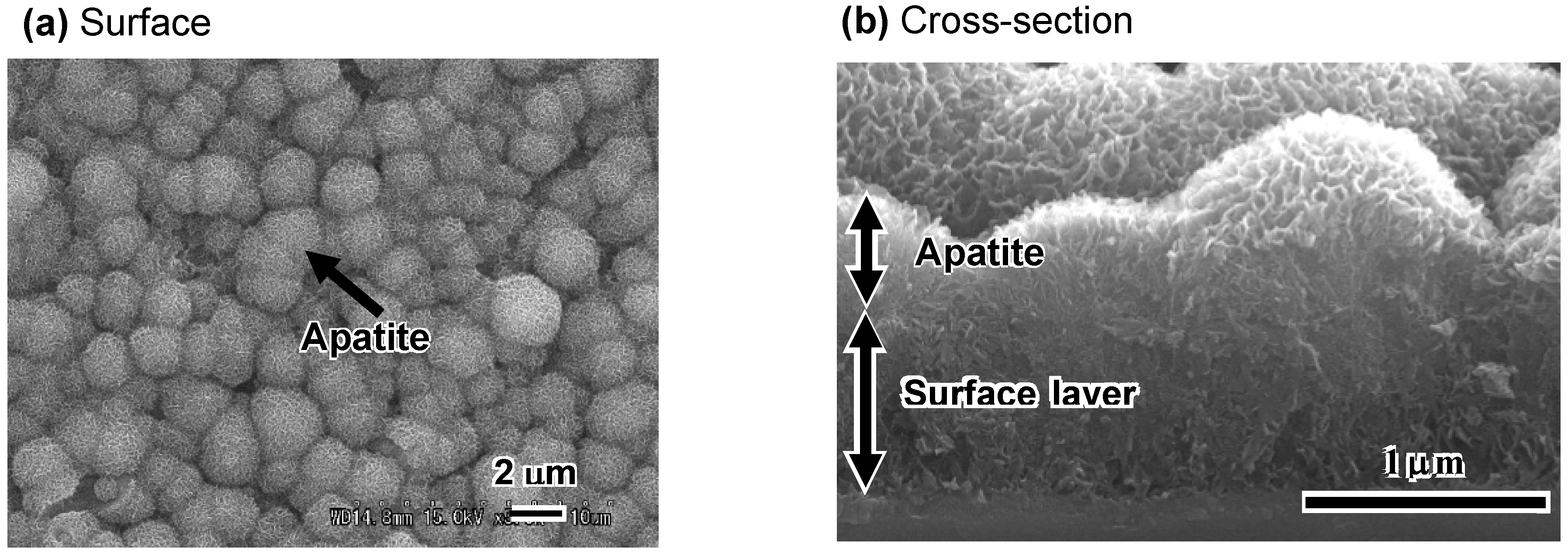 Materials 03 00048 g005